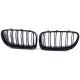 Body kit a vizuální doplňky RACES maska chladiče (Sport Double Bar) pro BMW 5 Series F10 F11 10-17, lesklá | race-shop.cz