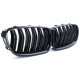 Body kit a vizuální doplňky RACES maska chladiče (Sport Double Bar) pro BMW 5 Series F10 F11 10-17, lesklá | race-shop.cz