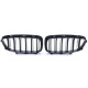 Body kit a vizuální doplňky RACES maska chladiče (Sport Double Bar) pro BMW 5 Series F10 F11 10-17, lesklá | race-shop.cz