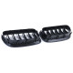 Body kit a vizuální doplňky RACES maska chladiče (Sport Double Bar) pro BMW 5 Series F10 F11 10-17, lesklá | race-shop.cz