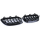 Body kit a vizuální doplňky RACES maska chladiče (Sport Double Bar) pro BMW 2 Series F22 F23 14-16, lesklá | race-shop.cz