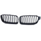 Body kit a vizuální doplňky RACES maska chladiče (Sport Performance) pro BMW 3 Series F30 F31 11-19, matná černá | race-shop.cz
