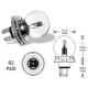 Žárovky a xenonové výbojky ELTA VISION PRO 12V 45/40W žárovka P45T R2 (1ks) | race-shop.cz