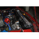Ford Sahara ventilátoru pro závodní chladič MISHIMOTO - Sada - 79-93 Ford Mustang | race-shop.cz