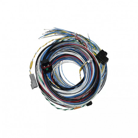 Řídicí jednotky, displeje a příslušenství FuelTech FT550 Lite Standalone ECU | race-shop.cz