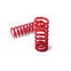 MTS Technik komplet Sportovní pružiny MTS Technik pro Mazda 323 V (BA) 09/94 - 09/98, 60 mm / 60 mm | race-shop.cz