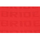 Sportovní sedačky Bez FIA homologace Závodní sedadlo GTR Bride Velvet Red | race-shop.cz