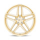 ALU disky Cray Cray PANTHERA disk 21x12 5X120 67.06 ET52, Gloss gold | race-shop.cz