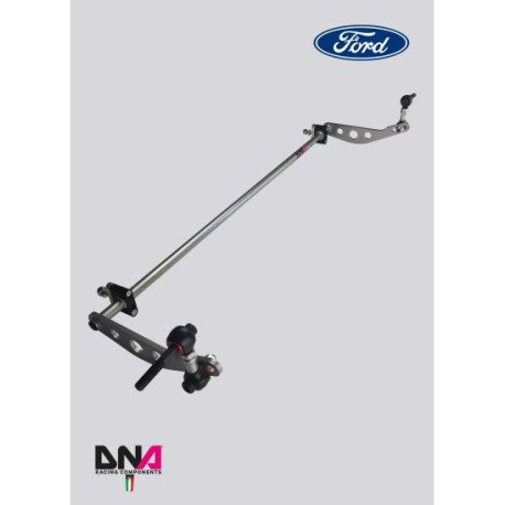 Whiteline DNA RACING táhla kyvné tyče pro RENAULT CLIO IV | race-shop.cz