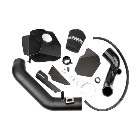 F30 F31 F32 F33 F34 Sportovní sání vzduchu RAMAIR pro BMW 335i (F30/F31/F80) 3.0T N55 2011-2015 | race-shop.cz