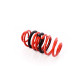 MTS Technik komplet MTS Technik spring coilover - GWFE30HA-01 | race-shop.cz