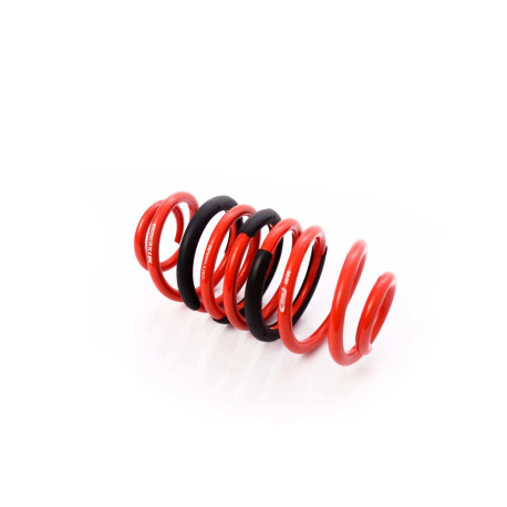 MTS Technik komplet MTS Technik spring coilover - GWFE30HA-01 | race-shop.cz