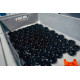 Blow off ventily podle vozidla FORGE Atmosférický blow off ventil pro Volkswagen Touran I/II 2003-2015 1.8 TFSI (E-DV) | race-shop.cz