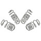 Whiteline Whiteline WSK-VWN003 Coil Springs Lowered | race-shop.cz