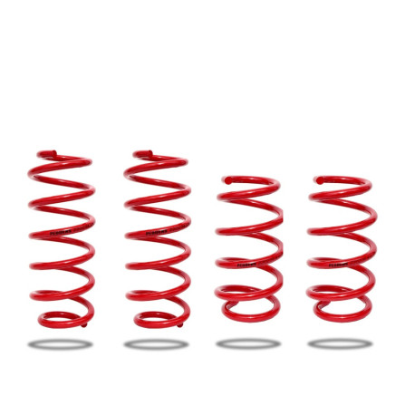 Pedders Pedders 803633 Sada pro snížení Spring Only. Tesla Model 3 Rear Wheel Drive Models. 2017 on | race-shop.cz