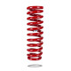 Pedders Pedders 280097 Trakryder Coil Spring | race-shop.cz