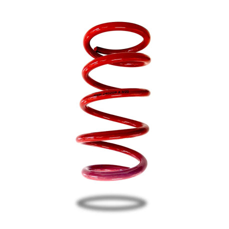 Pedders Pedders 240209 Heavy Duty Coil Spring | race-shop.cz