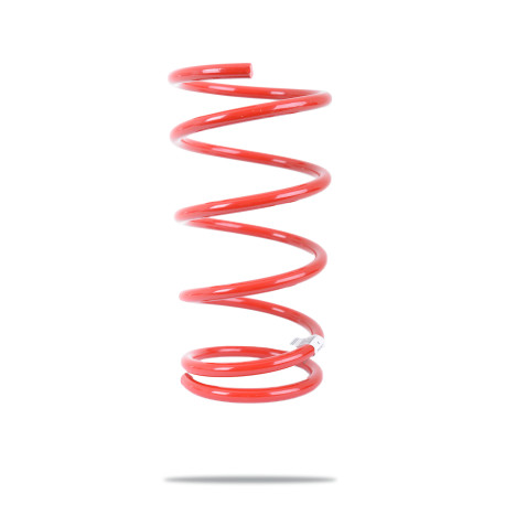 Pedders Pedders 240132 Heavy Duty Coil Spring | race-shop.cz