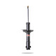 Pedders Pedders 129096 Sealed Strut | race-shop.cz