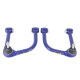 SuperPro SuperPro Front Strut Bar to Chassis Mount Bush Kit Fixed Offset for Ford Bronco 6TH Gen 2021- | race-shop.cz