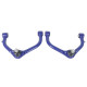 SuperPro Superpro Ds Ram 1500 Caster/Camber FUCA (80ShA) | race-shop.cz