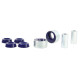 SuperPro Fr Ctl Arm Lower Rr Kit (80ShA) | race-shop.cz