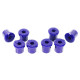SuperPro RR LEAF SPRING RR BUSH KIT (80ShA) | race-shop.cz