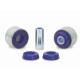 SuperPro FR LWR CTRL RR BUSH KIT (80ShA) | race-shop.cz