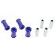 SuperPro Rear Trailing Arm Kit (80ShA) | race-shop.cz
