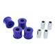SuperPro Radius Arm to Diff Mount Kit (80ShA) | race-shop.cz