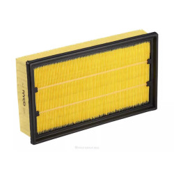 RYCO air filter A1817