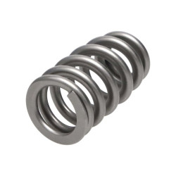 Manley Valve Spring 1.311 SINGLE