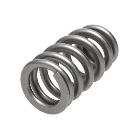 Části motoru Manley Valve Spring 1.311 SINGLE | race-shop.cz