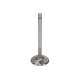 Části motoru Manley Buick V6 Intake Valve Kit 1.710 x 4730 x .3415 | race-shop.cz