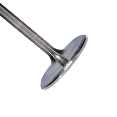 Části motoru Manley Titanium Series Chevy LS-7 Intake Valve Kit | race-shop.cz
