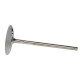 Části motoru Manley Titanium Series BBC Intake Valve | race-shop.cz
