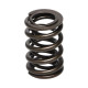 Části motoru Manley Valve Spring HONDA H22 V-TEC | race-shop.cz