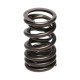 Části motoru Manley Valve Spring MITSUBISHI 4G63/T | race-shop.cz