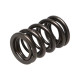Části motoru Manley Valve Spring HONDA B SERIES NON V-TEC | race-shop.cz