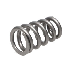 Manley Valve Spring TOYOTA SUPRA 2JZ