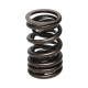 Části motoru Manley Valve Spring HONDA K20A/K20Z | race-shop.cz