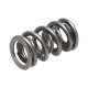 Části motoru Manley Valve Spring 1.324 DOUBLE | race-shop.cz
