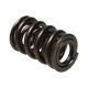 Části motoru Manley Valve Spring 1.640 DOUBLE | race-shop.cz