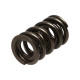 Části motoru Manley Valve Spring 1.640 DOUBLE | race-shop.cz