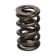 Části motoru Manley Valve Spring 1.640 DOUBLE | race-shop.cz