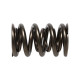Části motoru Manley Valve Spring 1.640 DOUBLE | race-shop.cz