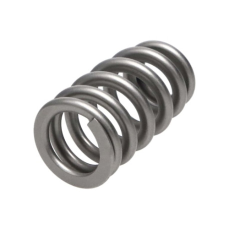 Části motoru Manley Valve Spring 1.311 SINGLE HEMI | race-shop.cz