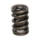 Části motoru Manley Valve Spring 1.530 DOUBLE | race-shop.cz