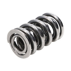 Manley Valve Spring 1440 POLISHED