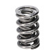 Části motoru Manley Valve Spring 1441 POLISHED | race-shop.cz